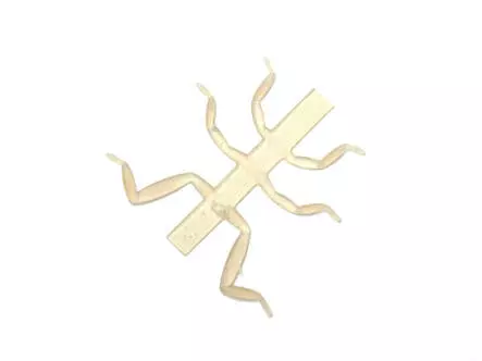 J:son Realistic Mayfly nymph legs - N1 - 12 pc. - light...
