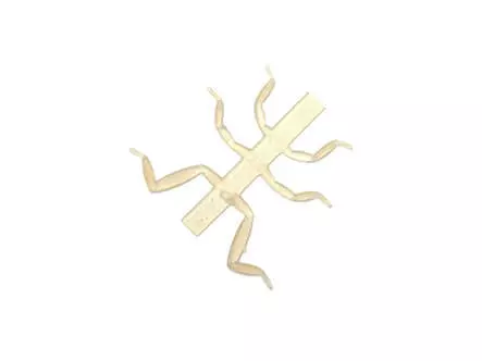 J:son Realistic Mayfly nymph legs - N2 - 12 pc. - light...