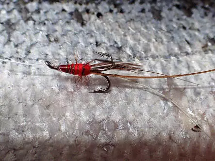 MW Francis Red Treble