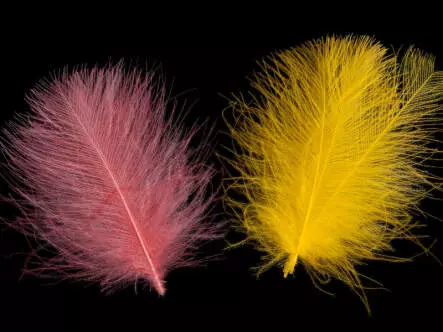 PLUMES CUL DE CANARD swiss-cdc standard - 1 g