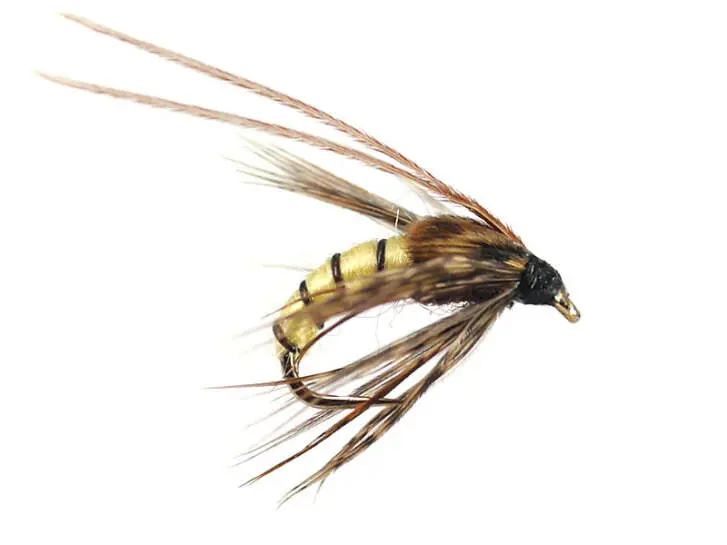 Caddis Pupa Cream BL 10