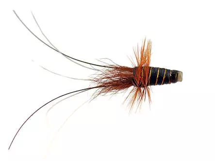 MW Francis BlackTubefly