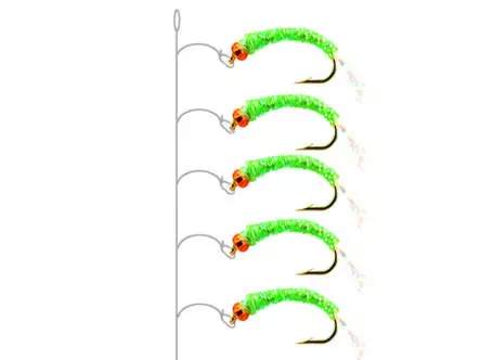 Gambe Alose feinte PEARL GREEN
