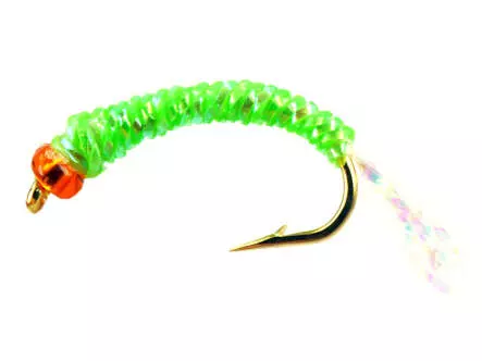 Gambe Alose feinte PEARL GREEN