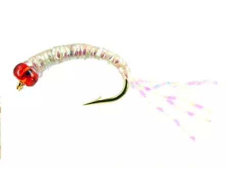 Gambe Alose feinte PEARL RED HEAD