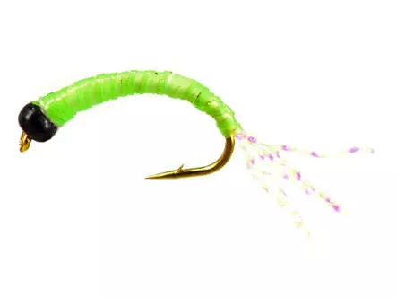 Gambe Alose feinte MIXED GLOW COLORS
