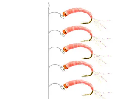 Gambe Alose feinte PINK GLOWING 14
