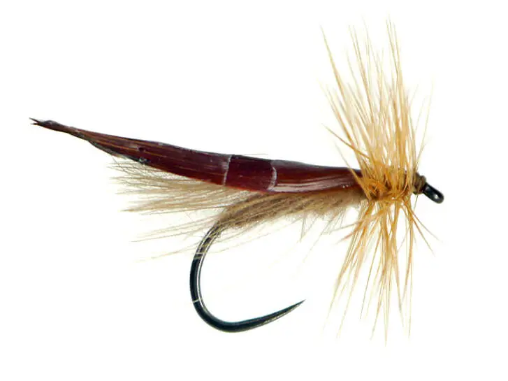 My Small Classic CDC Sedge 14