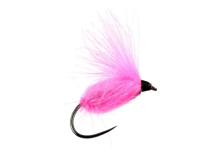 Pink Cdc CDC Arpo BL - Pink