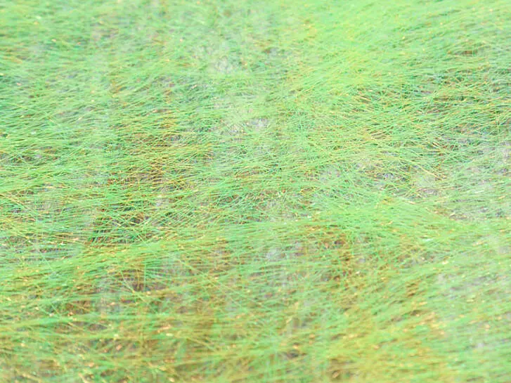 ANGEL WING SHEETS hotfly - 150 x 100 mm - 2 pc. - lime peacock