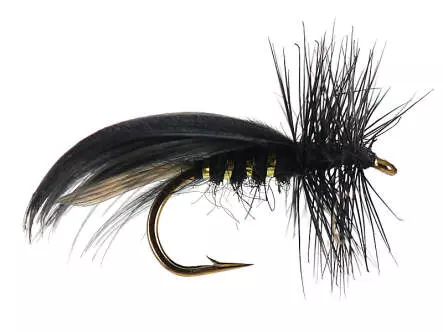 Europa Black