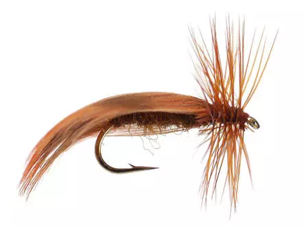 Europa Brown