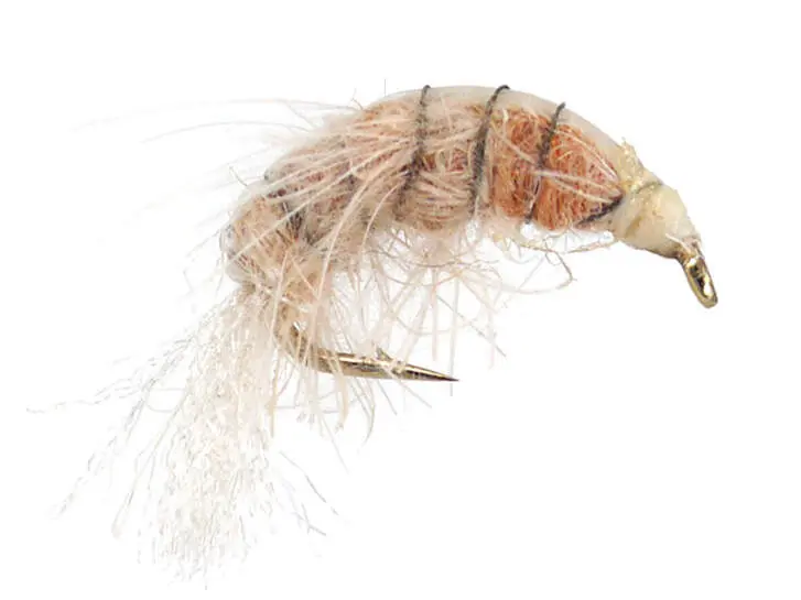 Natural Gammarus
