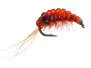 Body Glass Gammarus Red