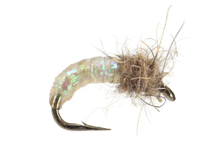Pearl G.R.H. Ear Scud