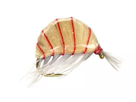 Heavy Epoxy Shrimp Natural