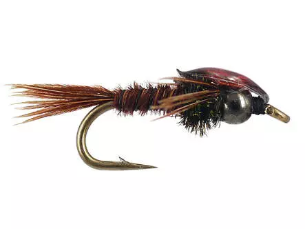 Trinas Nymph Back Pheasant Tail
