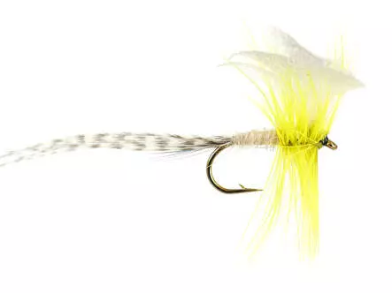 Yellow Mayfly Dun