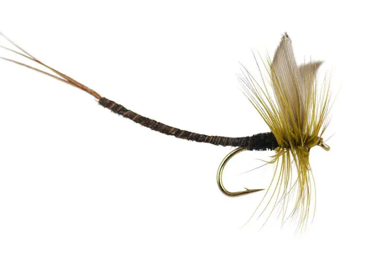 Olive Quill Extended Body Mayfly