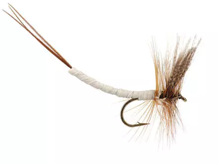 Gray Fox Extended Body Mayfly