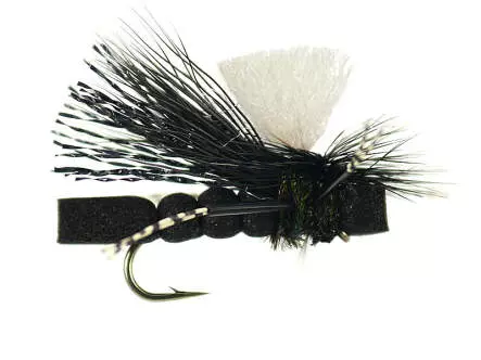 Swishers Foam PMX - Black
