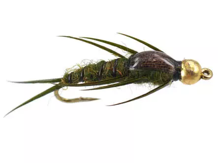 Bead Head Olive Epoxy Stonefly