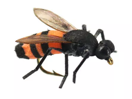 X-true Honey Bee Orange