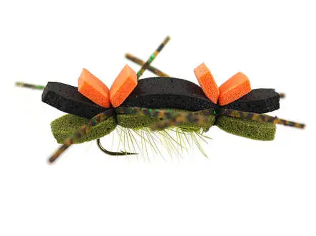 Tschernobyl Ant Olive
