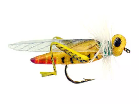 X-true Flying Hopper Orange Tail