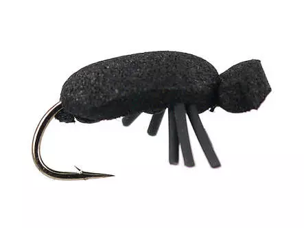 Black Beetle