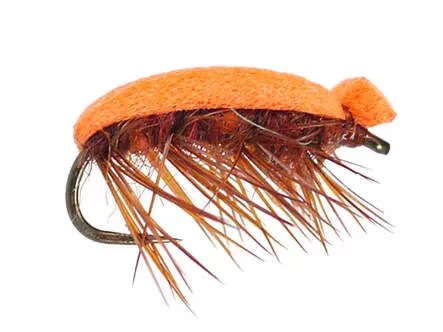 Tonis Orange Foam Beetle