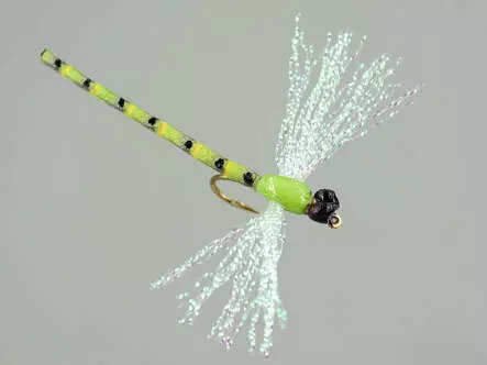 Dragonfly green