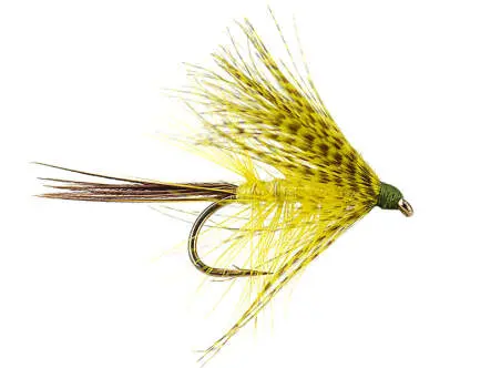 Olive Hackled Mayfly
