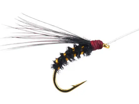 Gold Selection BI Black