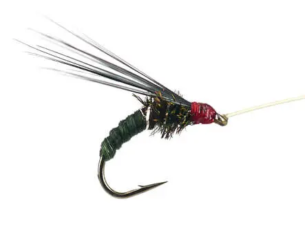 Franz Bipeack Olive