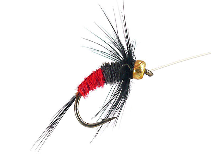Rienz Rienz Premium BI Red