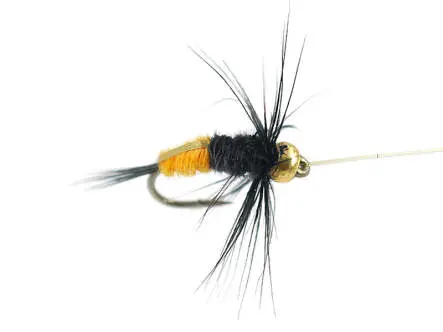 Rienz Premium BI Yellow