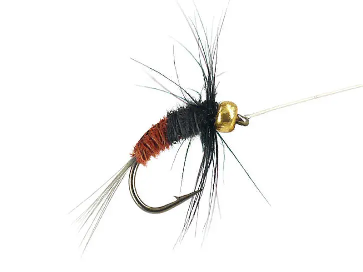 Rienz Premium BI Brown