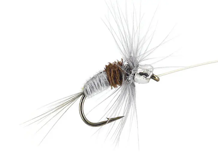 Rienz Premium BI Dun