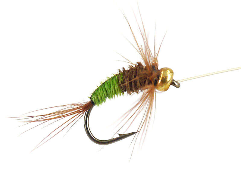 Rienz Rienz Premium BI Green