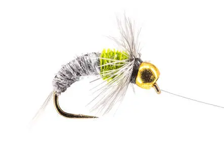 Isarco DC Golden Olive Dun 14