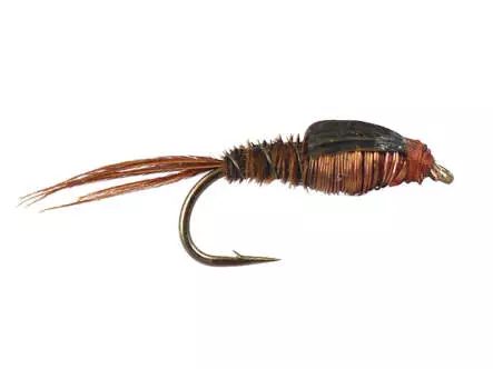 Copper Pheasant Nymph