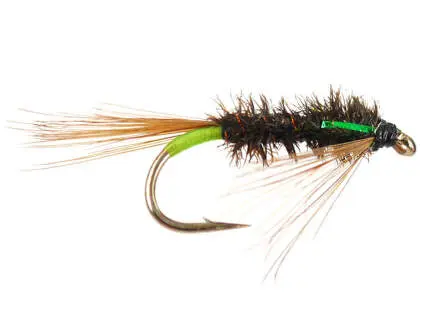 Diawl Bach Green