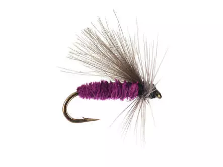 G1 Grayling CDC - Violet