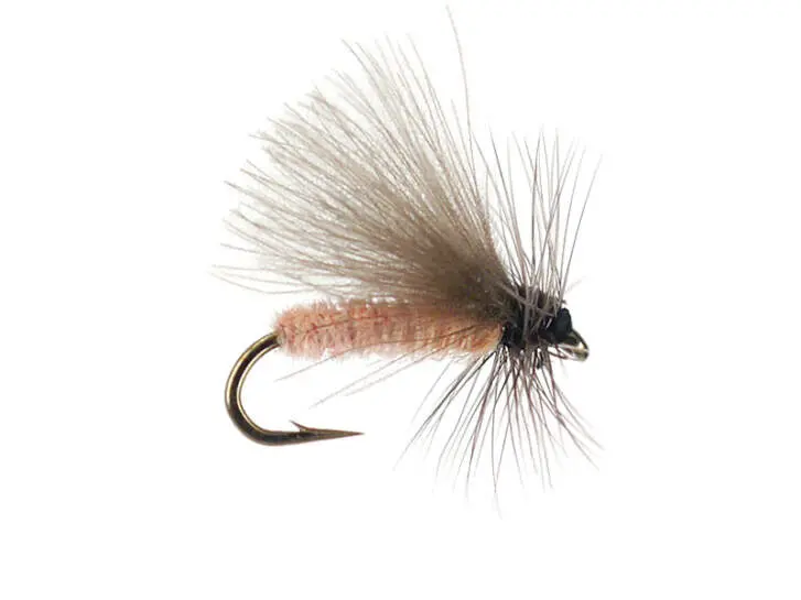 G1 Grayling CDC - Salmon