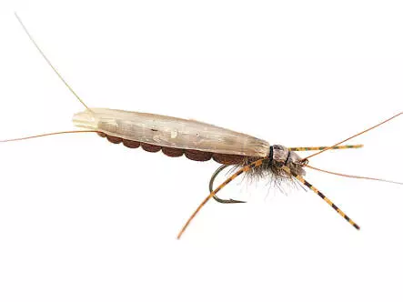 Large Realistic Brown Stonefly