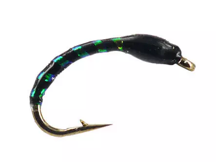 Black Green Holo Buzzer