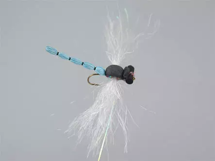 Superb Large Dragonfly Blue