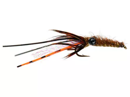 Ales Brown Carp Catcher