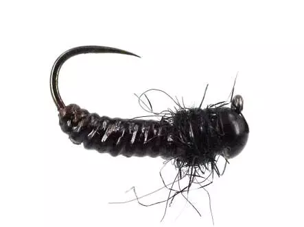 FC Thorax Dark Angel BL TG